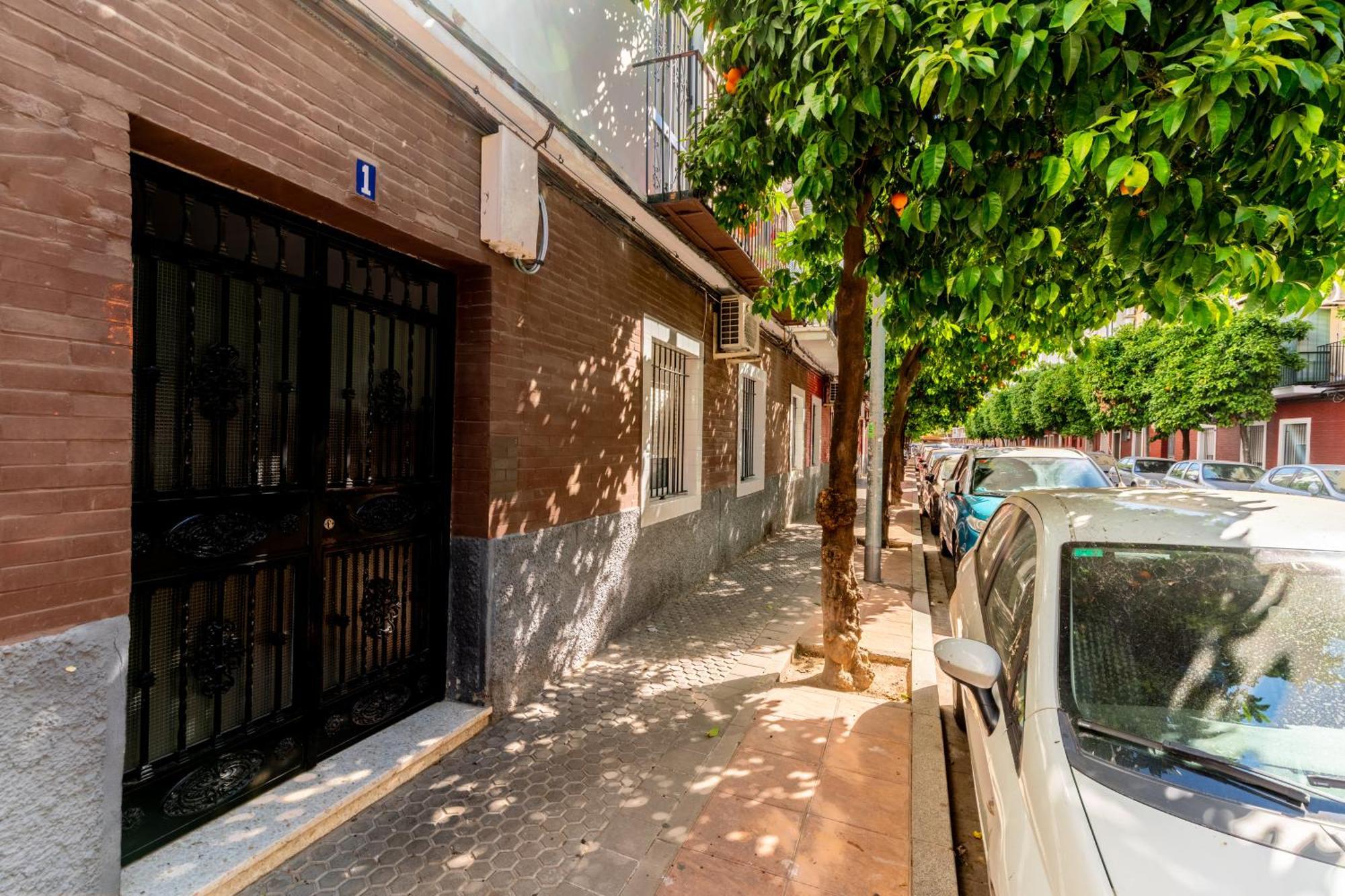 Confortable Apto. 3 Habitaciones 세비야 외부 사진